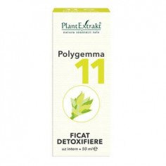 Polygemma 11 FICAT...