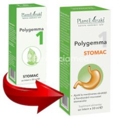 Polygemma nr 1 stomac...