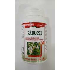 Paducel 40 capsule  Favisan