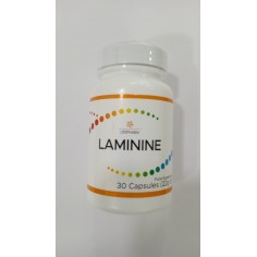Laminine LIFEPHARM- 30CPS
