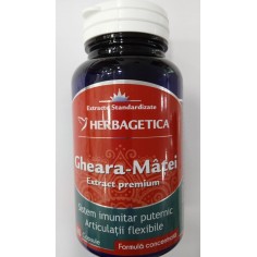 GHEARA-MATEI EXTRACT...