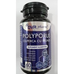 Polyporus – Ciuperca Cu...
