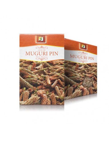 Ceai muguri pin 50 g - stef mar