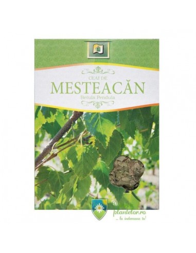 Ceai mesteacan 50 g - stef mar