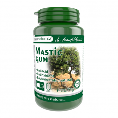 Mastic gum- 60 cps pro natura