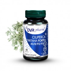 Ciuperca tibetana forte 60...