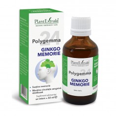 Polygemma 24 Ginkgo Memorie...