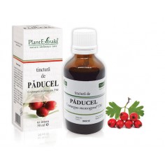 Tinctura de Paducel 50 ml -...