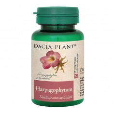 HARPAGOPHYTUM -GHIARA...