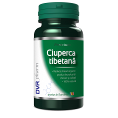 Ciuperca tibetana 60...
