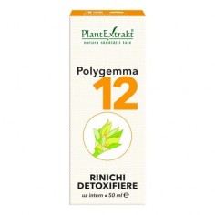 Polygemma Nr 12 Rinichi...