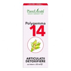 Polygemmna Nr 14...