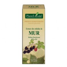 Extract din mladite de MUR...