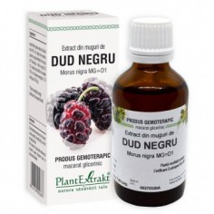 Extract din muguri de DUD...