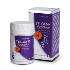 Telom R Articular 120...